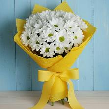 Букет цветов из:  Хризантемы в Ардатове Республики Мордовия