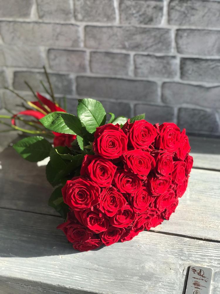 Букет Красные розы Фридом в Ардатове Республики Мордовия
