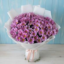 Букет цветов из:  Хризантемы в Ардатове Республики Мордовия