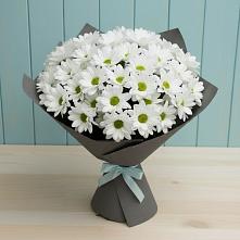 Букет цветов из:  Хризантемы #REPLACE_PRED# Ардатове Республики Мордовия