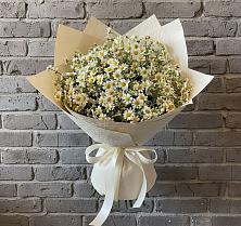 Букет цветов из:  Ромашки в Ардатове Республики Мордовия