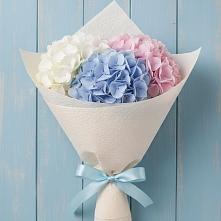 Букет цветов из:  Гортензия в Ардатове Республики Мордовия