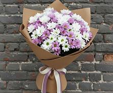 Букет цветов из:  Хризантемы в Ардатове Республики Мордовия