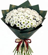 Букет цветов из:  Хризантемы в Ардатове Республики Мордовия