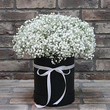 Цветочная композиция из Гипсофила в шляпной коробке #REPLACE_PRED# Ардатове Республики Мордовия