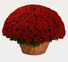 Премиум букет из: Розы в Ардатове Республики Мордовия